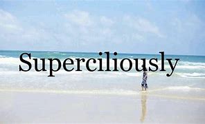 Image result for superciliously
