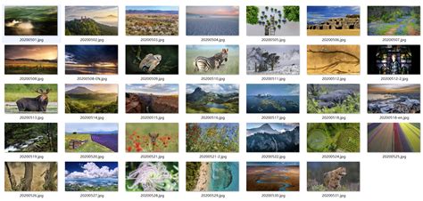 必应高清壁纸 的图像结果