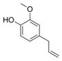 Roles of Syzygium in Anti-Cholinesterase, Anti-Diabetic, Anti ...