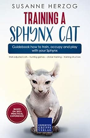 Training a Sphynx Cat – Guidebook how to train, occupy and play with ...