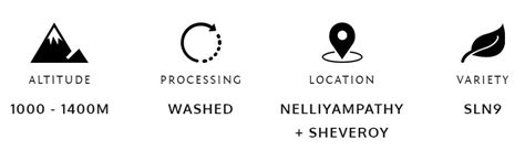 Blue Tokai Coffee Roasters Cold Brew - Light Roast (Whole Bean ) 250 g ...