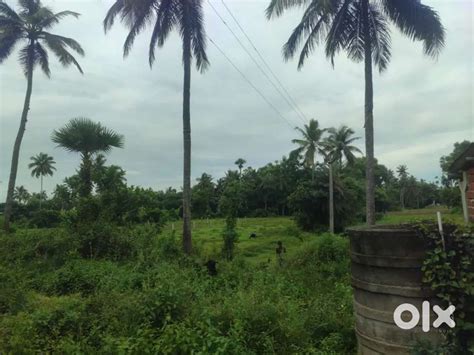 NH side 2,3,30 & 54 Acares farming land & Housing land any type f land ...