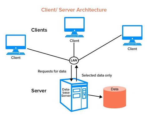 Draw a neat and clean labelled diagram that show the Client Server ...