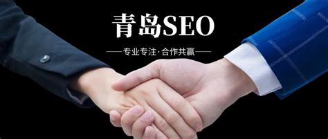 青岛SEO - 青岛网站优化、百度推广、网络营销 - 传播蛙