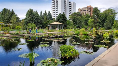 Congress Park Market