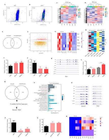 The Defects of Epigenetic Reprogramming in Dox-Dependent Porcine-iPSCs