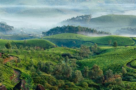 Schritte in Richtung Mutter Natur - Ein Interview über Jamu, Ethik und ...