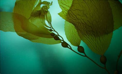 CORAL HOMES SL | Datos de Empresa | Cinco Días