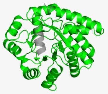 Alpha Character Example 的图像结果