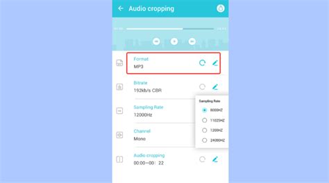 Image result for Convert MP4 to Audio File