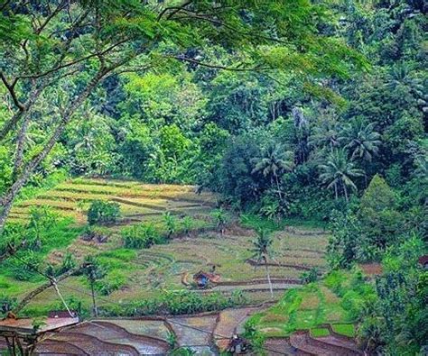 WANA WISATA GRAND SAYANG KAAK (2026) All You Need to Know BEFORE You Go ...