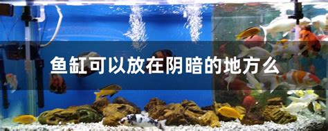湖南首届原生鱼展，这些鱼您见过吗？_生活
