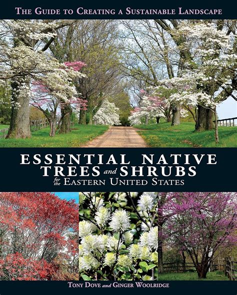 Essential Native Trees and Shrubs for the Eastern United States: The ...