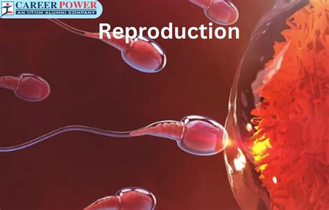 Image result for Reproduction Definition