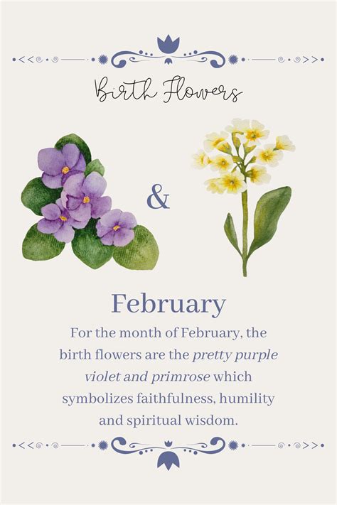 February birth flowers – Artofit