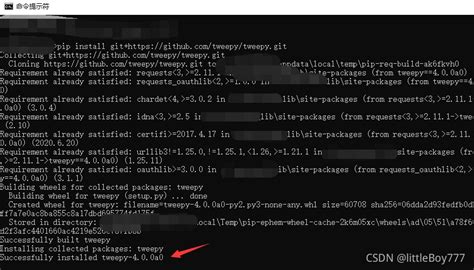 Tweepy Tutorial 的图像结果