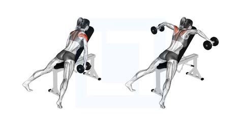 Image result for Reverse Fly Over FitBALL