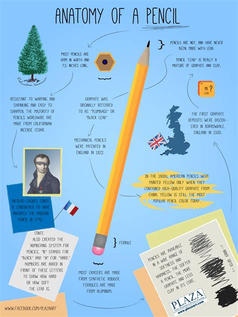 Anatomy of a Pencil - An Infographic | Pencil, Infographic, Artist ...