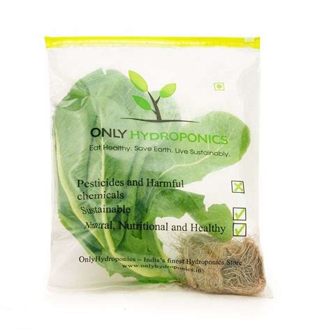Hydroponic Vegetables Online Store Banglore – blr.onlyhydroponics.in