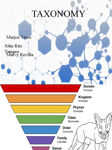 Image result for Taxonomy Code for LMSW