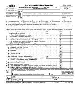 Fillable Online 2007 Form 1065 (Fill-In Capable). U.S. Return of ...