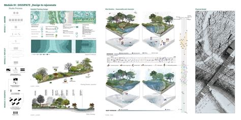 PG MLA Studio 3 | Water Plus Studio | CEPT - Portfolio