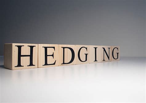 Hedging Example 的图像结果