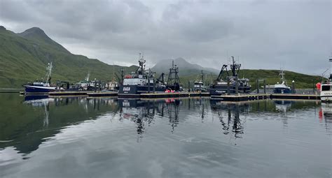 Dutch Harbor's pollock plants weather perfect storm in markets ...