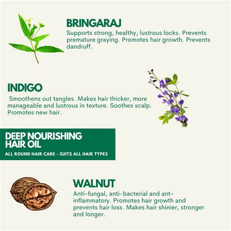 Bhringraj, Kalonji & Onion Hair Oil For Thick Hair – Zuame Wellness