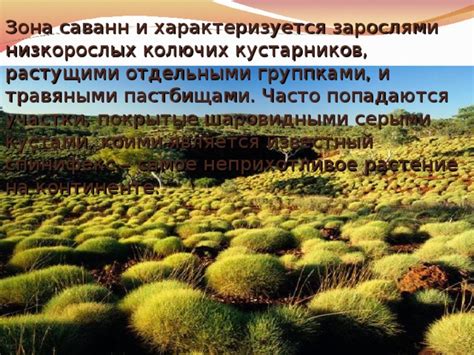 Презентация "Австралия" - Дошкольное образование - Презентации ...