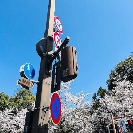 ARCTIC MX-4 - Thermal Compound Paste - Carbon Based High Performance ...