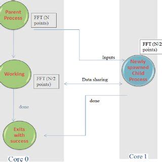 Parent Process 的图像结果