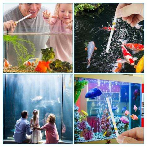 Buy Duety Aquarium Test Strips，100 Strips Aquarium Testing Kit For ...