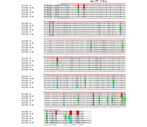 Image result for Conserved Sequence