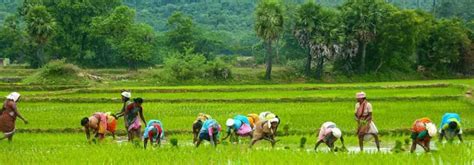 AP nominated for SKOCH rural development award