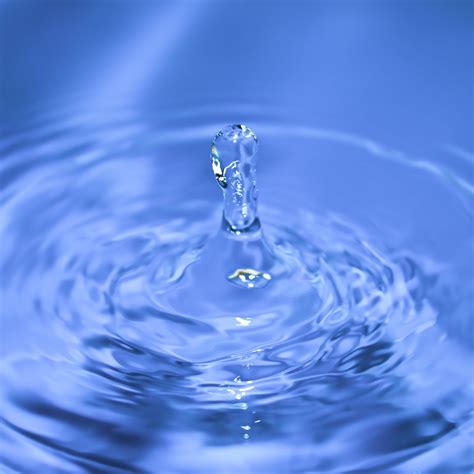 Beyond Thirst: The Multifaceted Health Benefits of Hydration Drinks – Drinklits