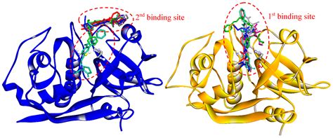 Cathepsin L Inhibitors with Activity against the Liver Fluke Identified ...