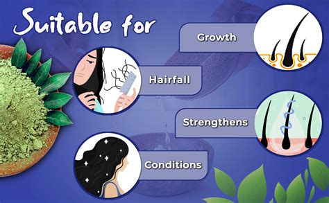 Buy BSY Organic Indigo Powder for Hair – 100% Pure & Natural Herbal ...