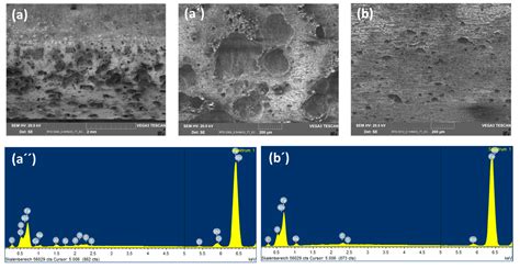 On the Corrosion Mechanism of CO2 Transport Pipeline Steel Caused by ...