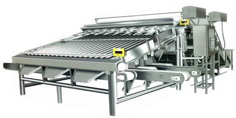 Jeya industries and engineering pvt ltd| Sea food processing equipment ...