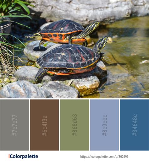 Python Turtle Color Palette 的图像结果