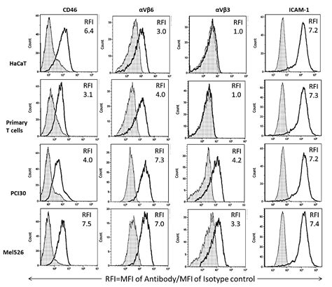 Transport of Extracellular Vesicles across the Blood-Brain Barrier ...