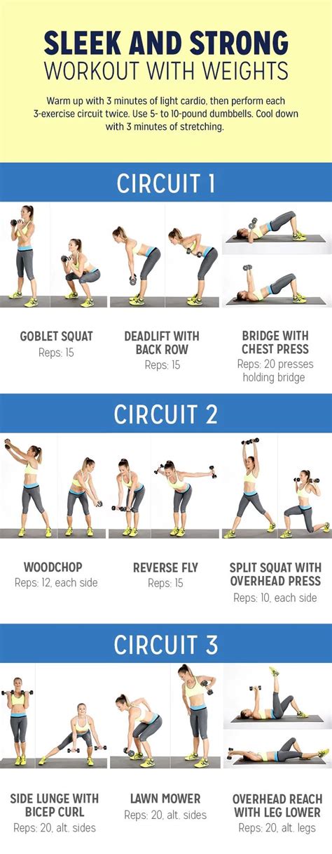 Gym Circuit Training Workouts