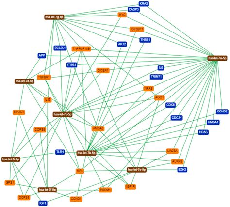 Let-7 miRNA’s Expression Profile and Its Potential Prognostic Role in ...