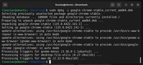 Installing Deb File 的图像结果
