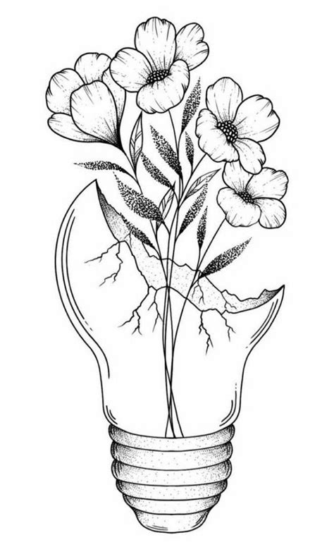 Simple Draw 的图像结果