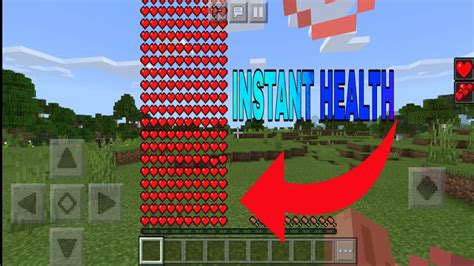Image result for How to Get Infinite Health in Minecraft Java