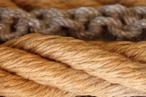 What Is Sisal and What Is it Used For? Common Uses & FAQ | Home Grail