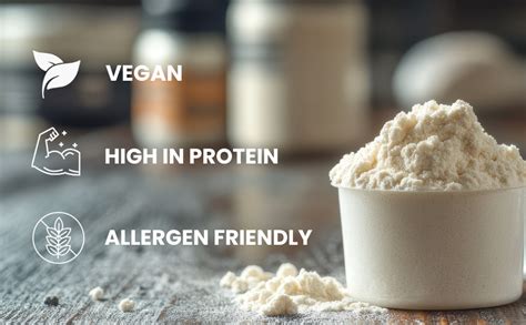 Sattvic Foods Brown Rice Protein Powder (300 g) | Certified Organic ...