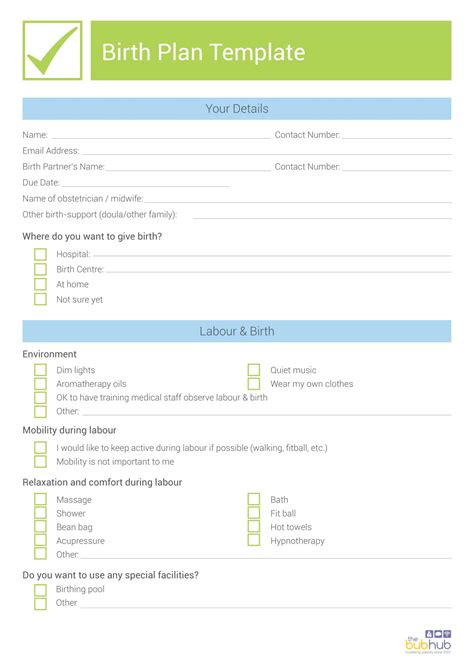 Free Printable Birth Plan Templates [Word]